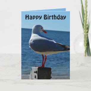 Beach Zee Gull, Birthday Kaart