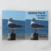 Beach Zee Gull, Jumbo Birthday Kaart (Binnen)