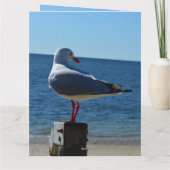 Beach Zee Gull, Jumbo Birthday Kaart (Achterkant)