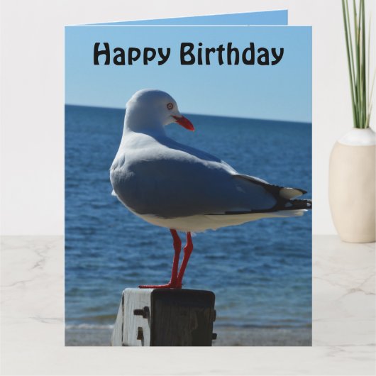 Beach Zee Gull, Jumbo Birthday Kaart (Voorkant)