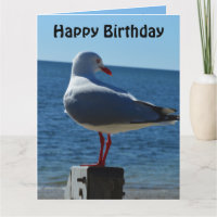 Beach Zee Gull, Jumbo Birthday Kaart
