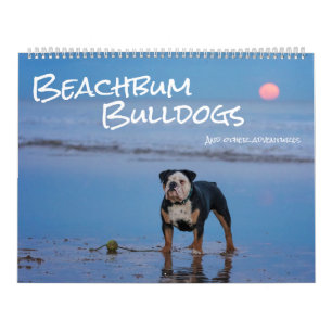 Beachbum Bulldogs en andere avonturen Kalender