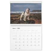 Beachbum Bulldogs en andere avonturen Kalender (Mar 2026)