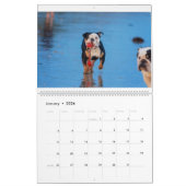 Beachbum Bulldogs en andere avonturen Kalender (Jan 2026)