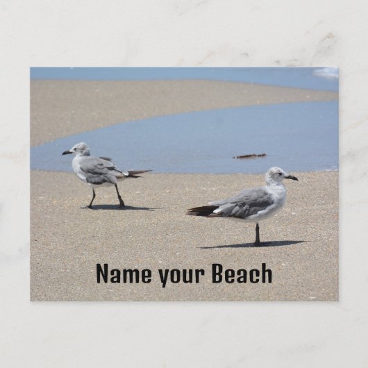 Beachcombattende zeegarens Fotografisch strand Briefkaart (Voorkant)