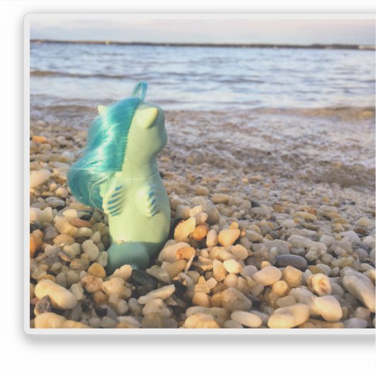 Beachcomber Baby Sea Pony at the Beach Sticker (Voorkant)