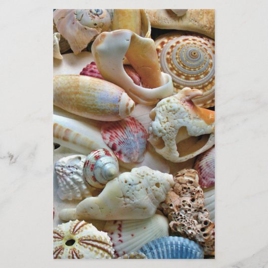 Beachcombers Seashell 5x8 Custom Wedding Program (Achterkant)