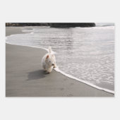 Beachcombi-papier met wieldoekfoto's inpakpapier vel (Voorkant 2)