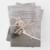 Beachcombi-papier met wieldoekfoto's inpakpapier vel (In situ)