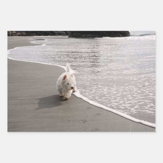 Beachcombi-papier met wieldoekfoto's inpakpapier vel (Voorkant)