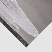 Beachcombi-Weefselpapier voor foto's met witte tin Tissuepapier (Detail)