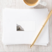 Beachcombing Website Fotobriefpapier Etiket (Insitu)