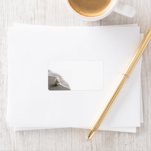 Beachcombing Website Fotobriefpapier Etiket (Insitu)