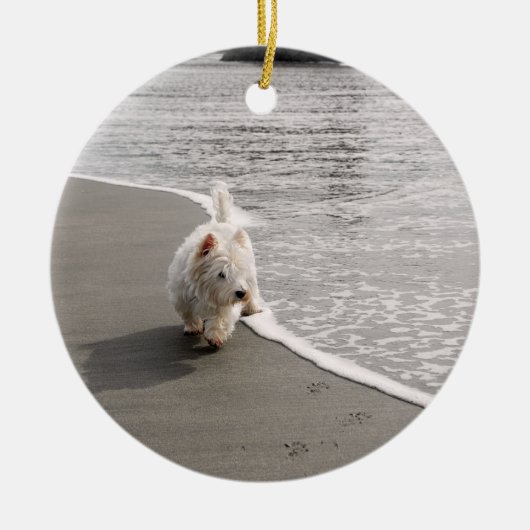 Beachcombing Westie Dog Photo Ornament (Voorkant)