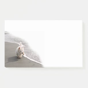 Beachcombing Westie Foto 10x6 Post-it Notities Post-it® Notes