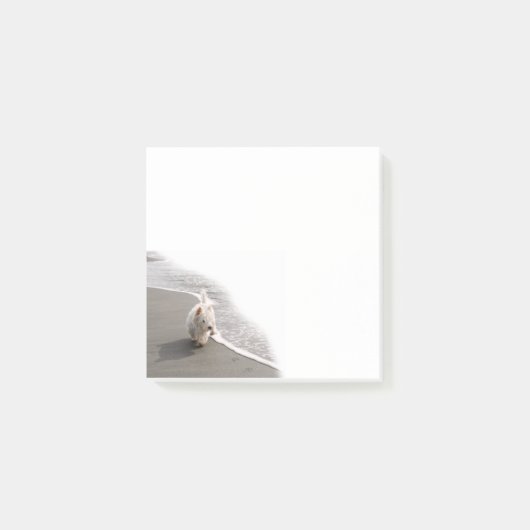 Beachcombing Westie Foto 3x3 Notities Post-it® Notes (Voorkant)