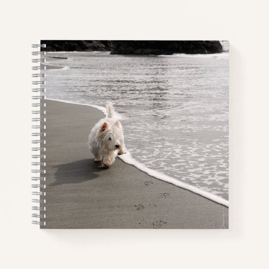 Beachcombing Westie Foto 8x8 Square Journal Notitieboek (Voorkant)