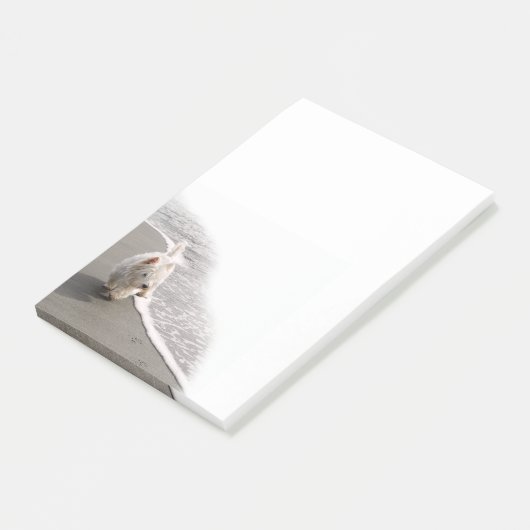 Beachcombing Westie Foto Post-It Notes (Schuin)