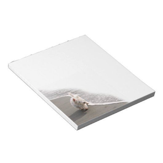 Beachcombing Westie-fotoblok Notitieblok (Schuin)