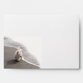 Beachcombing Westie Photo 5x7 Envelope Envelop