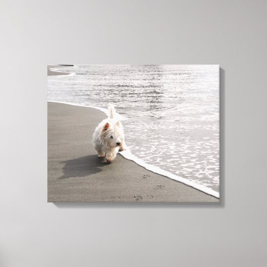 Beachcombing Westie Photo Canvas Afdrukken (Voorkant)