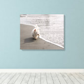 Beachcombing Westie Photo Canvas Afdrukken (Insitu (Houten vloer))