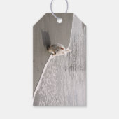 Beachcombing Westie Photo Gift Label Cadeaulabel (Voorkant)