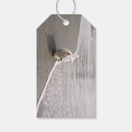 Beachcombing Westie Photo Gift Label Cadeaulabel