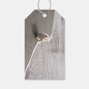 Beachcombing Westie Photo Gift Label Cadeaulabel