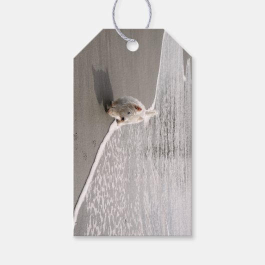 Beachcombing Westie Photo Gift Label Cadeaulabel (Voorkant)