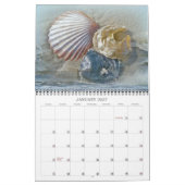 Beachcombingkalender Kalender (Jan 2027)