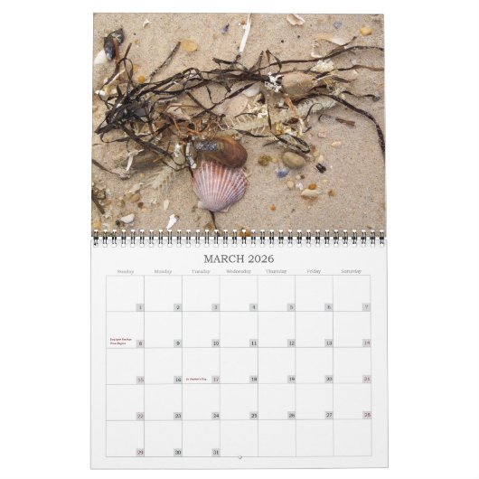 Beachcombingkalender Kalender (Mar 2026)