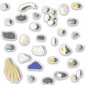 Beachcombingschalen en keistenen sticker (Voorkant)