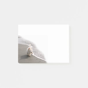 Beachcoming Westie Foto 4x3 Opmerkingen Post-it® Notes