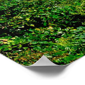 Beaches, Barahona, Dominicaanse Republiek, Poster (Hoek)