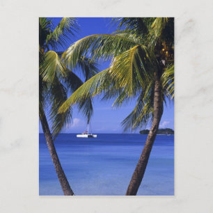 Beaches in Negril, Jamaica Briefkaart
