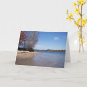 Beachfront op de Kaart van het meer (Gele Bloem)