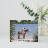 BeachHorses.com Briefkaart (Staand voorkant)