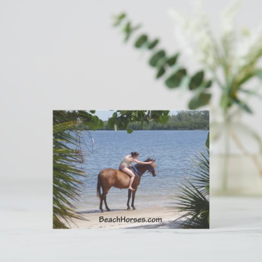 BeachHorses.com Briefkaart (Staand voorkant)