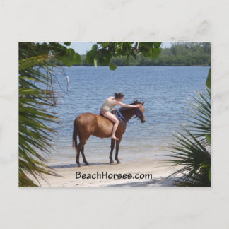 BeachHorses.com Briefkaart
