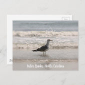 Beachingend Zee "Gull OBX Briefkaart" Briefkaart (Voorkant / Achterkant)