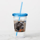 Beachside Pals: een Staffy en zijn Crab Companion Acryl Drinkbeker (Achterkant)