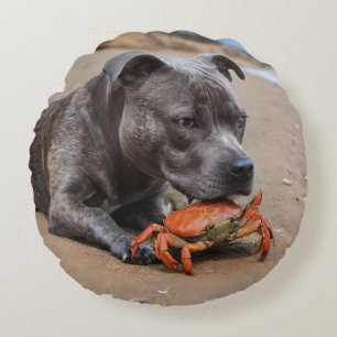 Beachside Pals: een Staffy en zijn Crab Companion Rond Kussen