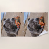 Beachside Pals: een Staffy en zijn Crab Companion Strandlaken (Voorkant)