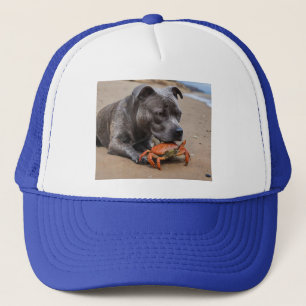 Beachside Pals: een Staffy en zijn Crab Companion Trucker Pet