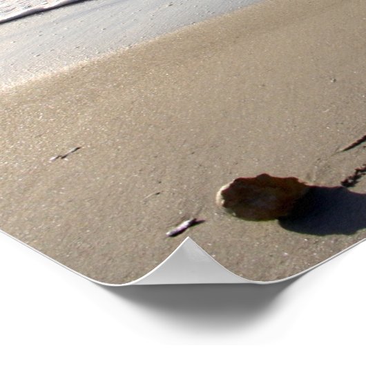 Beachwrite's De wereld is elke ochtend nieuw Poster (Hoek)