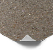 Beachy Clamshell Poster (Hoek)