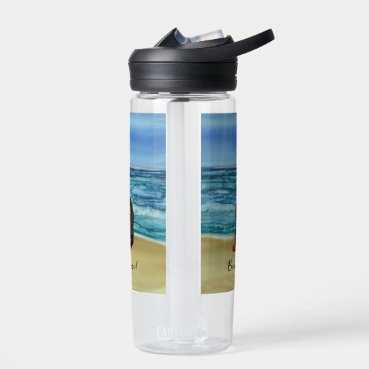 Beachy Dachshund Water Bottle Waterfles (Links)