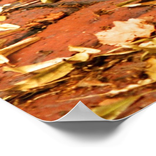 Beacon Hill Boot Scraper Poster (Hoek)