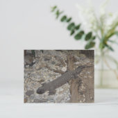 Beaded Lizard # 1 Briefkaart (Staand voorkant)